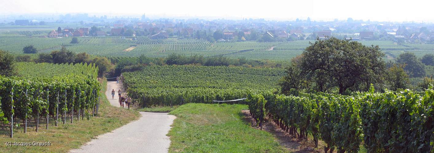 2005-09-04 11-21-37 Panorama.JPG